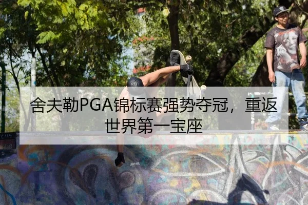 舍夫勒PGA锦标赛强势夺冠，重返世界第一宝座