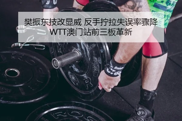 樊振东技改显威 反手拧拉失误率骤降 WTT澳门站前三板革新
